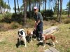 Richard, with Chico, Bonnie, Lucy and Rosie, enjoying a walk in S.W.France, on their journey from Málaga in S.Spain to Plymouth in S.Devon.